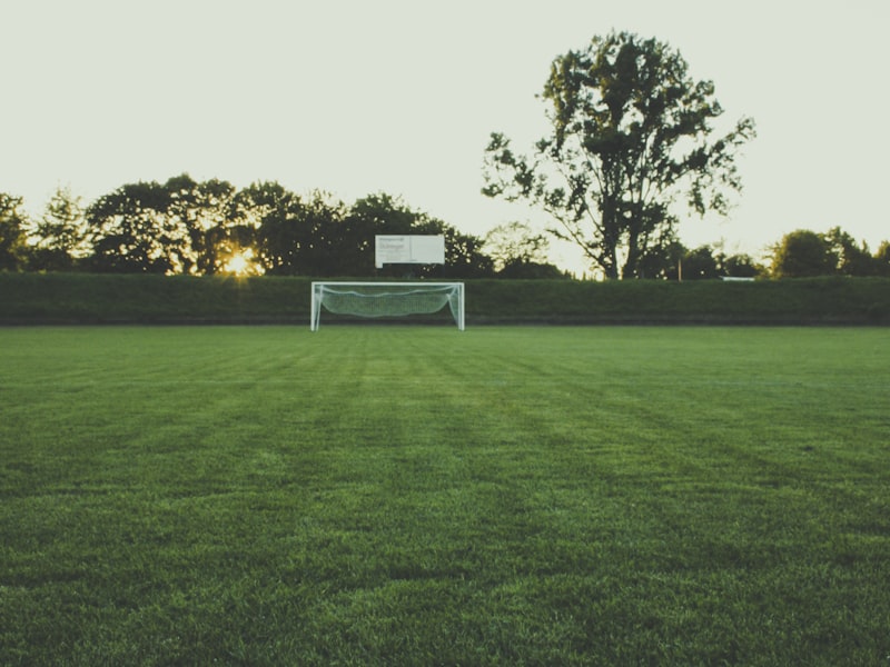 加拿大温哥华卑诗体育馆夜景，灯光璀璨